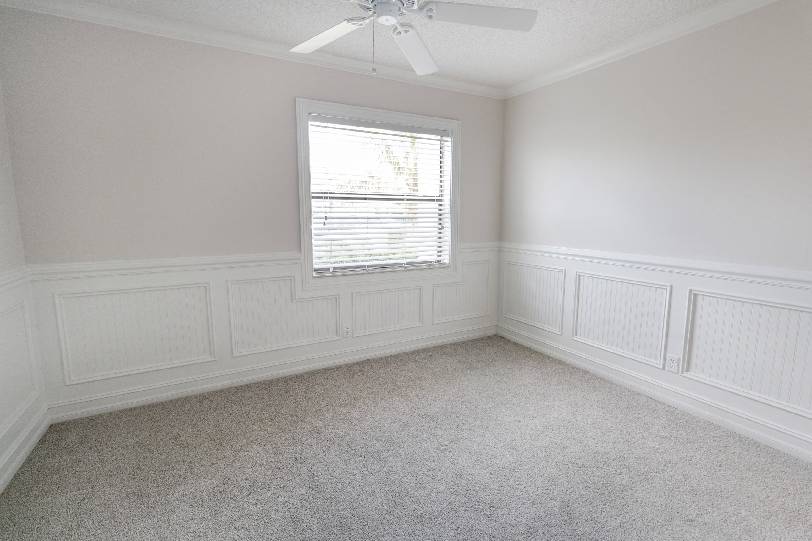 Gallery Photo 42